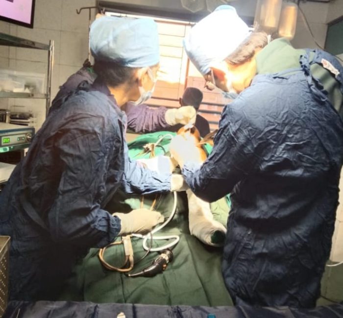 dr jayesh operating3